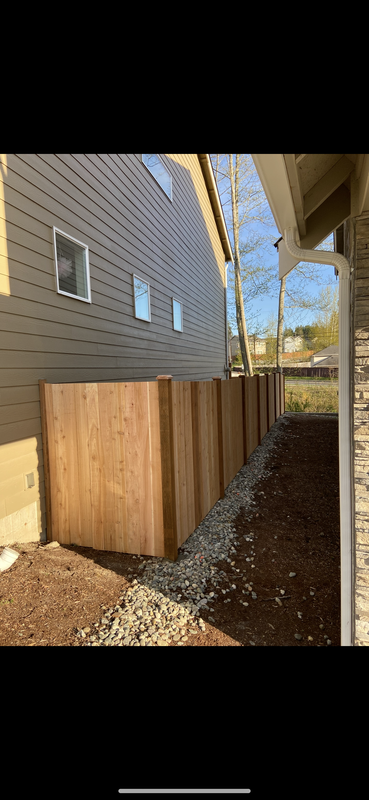 Cedar privacy fence - backyard project